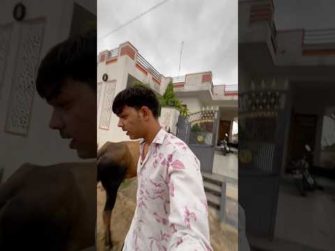 आज नंदी रोने लग गया और घर के अंदर भी नहीं आया 😔🥺