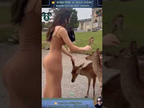 17 RARE Animal Clips You MUST See! ⚡ | WILD ZOOM  #animals  #animalshorts