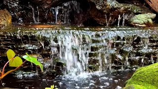 Waterfall Sounds for Relaxation & Meditation| Soothing Nature Sounds (1 Hour)