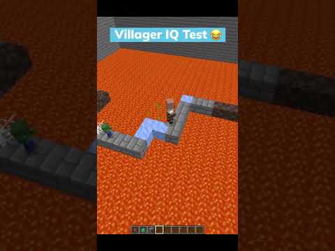 Minecraft Villager IQ Test 😂 #Shorts