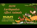Impact of Earthquakes on Animals