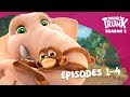 Understanding the Video Tutorial