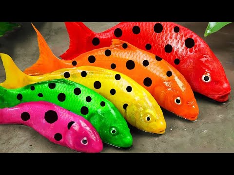 Best Of Small Fish Recipe | MINIATURE Fish Cooking Made EASY with Simple Recipe