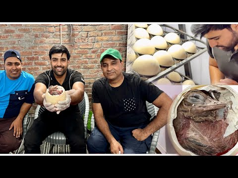 Apny Ostrich K Eggs Ko Tor Kay Bacha Nikal Lia 🥰 Yahoooo 🥳