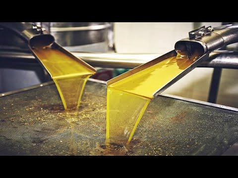 COMO se HACE el ACEITE de OLIVA virgen extra✅| ¿Cómo se EXTRAE el ACEITE de OLIVA de la aceituna?