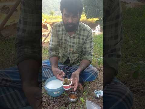 மாமா பழைய சோறு தான் #viralvideo #nature #vivasayee #comedy #villagelife #vlog #farmingmethod