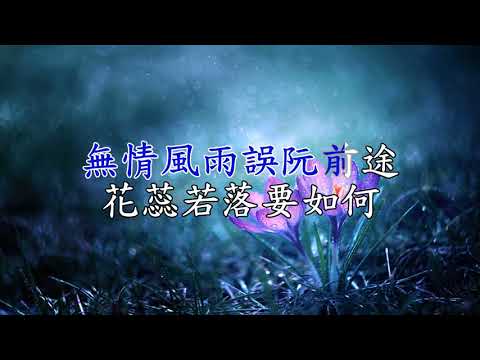 雨夜花