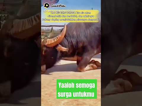 #shortvideo #subscribe #fypviral