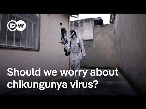 YouTube video thumbnail: Chinese Authorities Attempt to Limit Spread of Chikungunya Virus