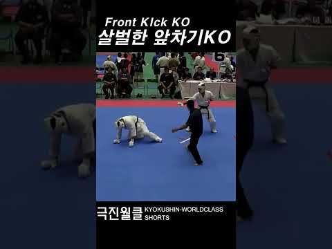 앞차기 KO