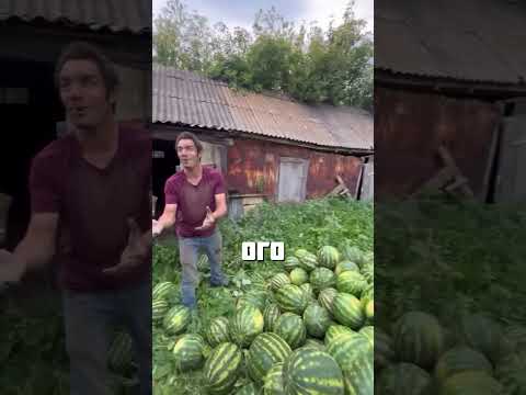 ВОТ ЭТО ГЕРАКЛ