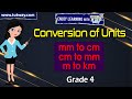 Metric Unit Conversion Problems