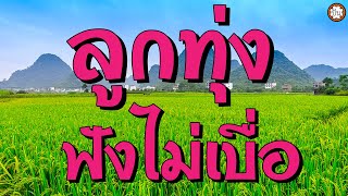 ลูกทุ่งฟังไม่เบื่อ เพลงเพราะ ฟังยาวๆ #ไม่ลืมสันกำแพง #ห้ามใจไม่ให้รัก #เทพธิดาคาเฟ่
