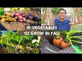Vegetable Planting Guidelines and Timelines