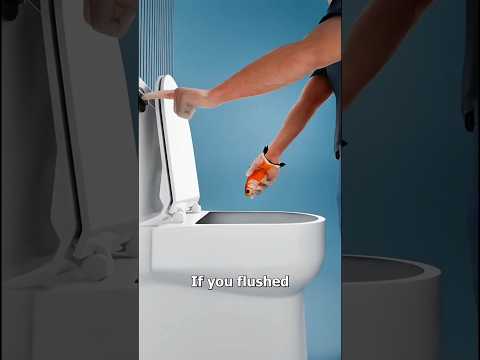 Membuang Ikan di Toilet: Perjalanan Mematikan di Saluran Pembuangan! #shorts #ikan #faktaunik