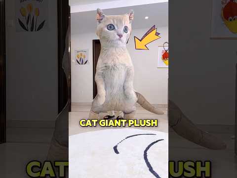 These cats don’t like the giant plush