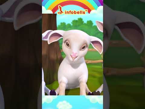 ஐந்து குட்டி ஆடுகள் துள்ளி குதித்தது - Five Little | Tamil Rhymes & Kids Songs | Infobells