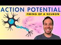 Understanding Action Potential