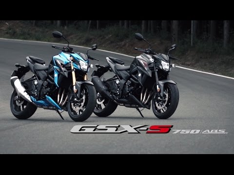 Suzuki GSX-S Individual