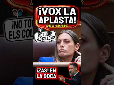 Vox ANIQUILA a Sánchez y ERC ¡NO TIENEN LEGITIMIDAD! - Gil Congreso
