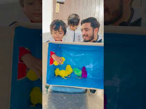 Alag Color Wala Chooza Uthao Aur Inam Ly Jao #funny #comedy #shortvideo
