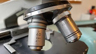 Comprei um microscópio no leilão de coisas antigas!