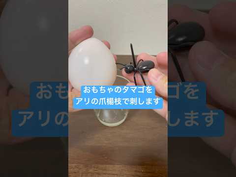 おもちゃの卵から出た水分で猫の形の氷を作ってみた #shorts #おもしろ動画 #funnyvideo #やってみた