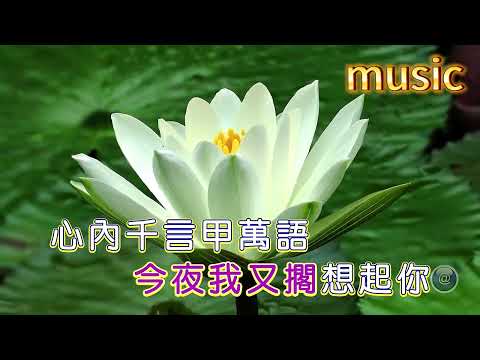 純情的花蕊 (台語) 倖妏-KTV 伴奏 no vocal 無人聲 music 純音樂 karaoke 卡拉OK 伴唱純情的花蕊 (台語) 幸妏-