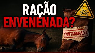 Seu pet pode estar correndo risco.