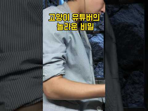 고양이 유튜버의 비밀