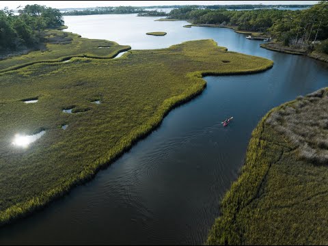 Zero Emissions | Croatan National Forest | For Real, Visit NC