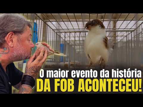 🔥 FORAM MAIS DE 80 MIL AVES! O MAIOR EVENTO JÁ FEITO NA HISTÓRIA DA FOB!