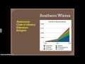 Southern Society and Native American Impact