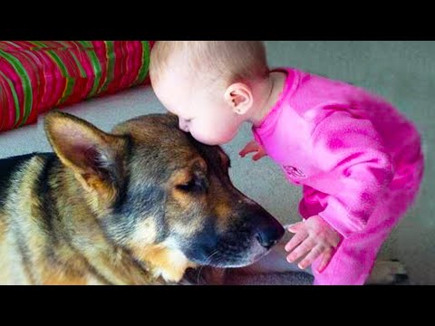 When Baby's Best Friend Is A Dog 🐶 Funny Cute Baby Videos || Cool Peachy🍑