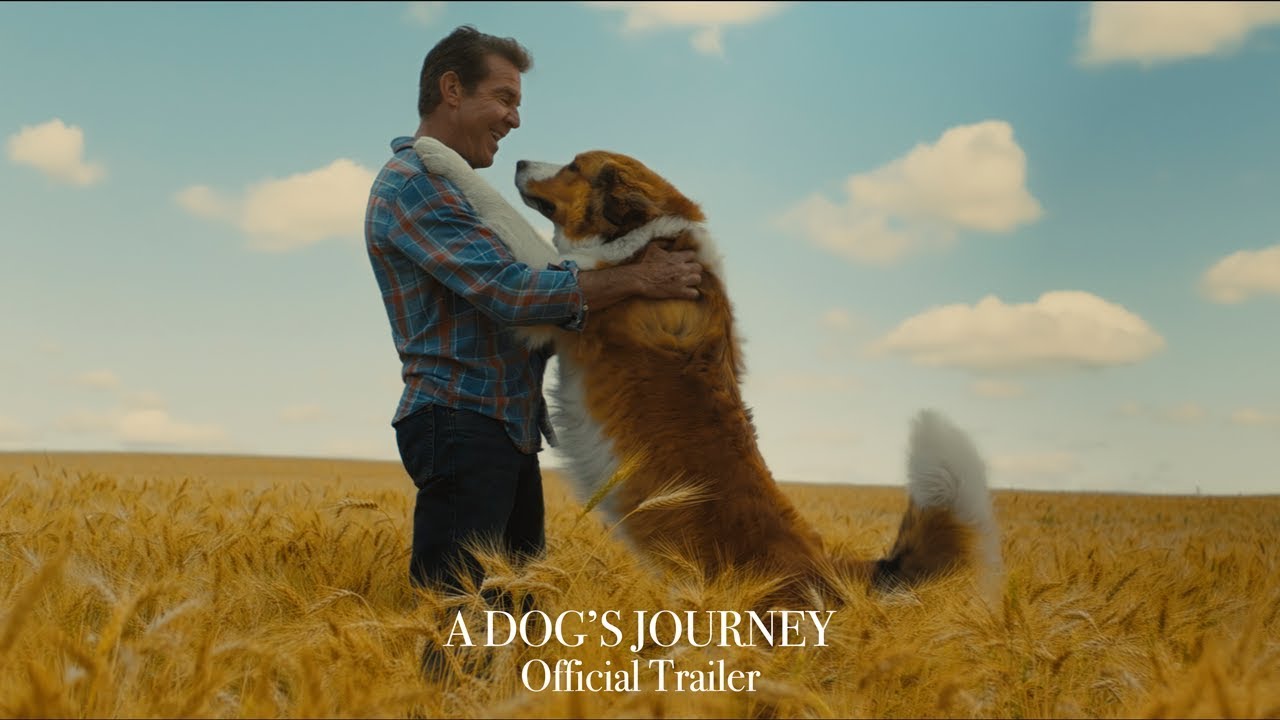 A Dog's Journey Trailerin pikkukuva
