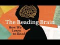 Understanding the Reading Brain
