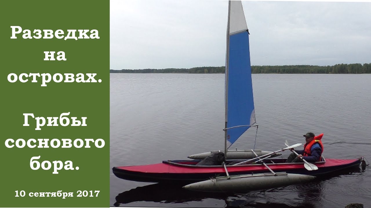 Разведка на островах. Грибы соснового бора. 10 сентября 2017 года