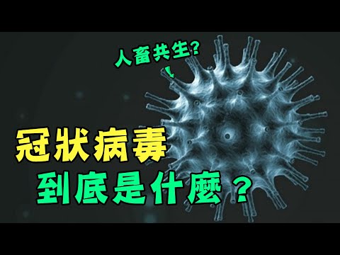 冠狀病毒到底是什麼？武漢肺炎為何這麼難以抵擋？ - YouTube(7分37秒)