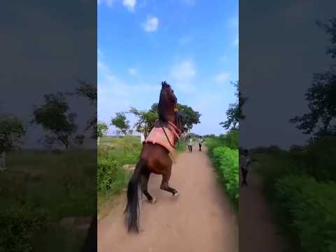 দোসরা কোনো মাবুদ নাই এক আল্লাহ।