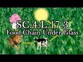 Food Chain and Ecosystem Roles