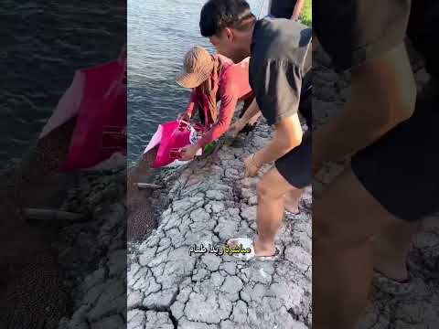 كانت تحاول اطعام الاسماك !! #shorts