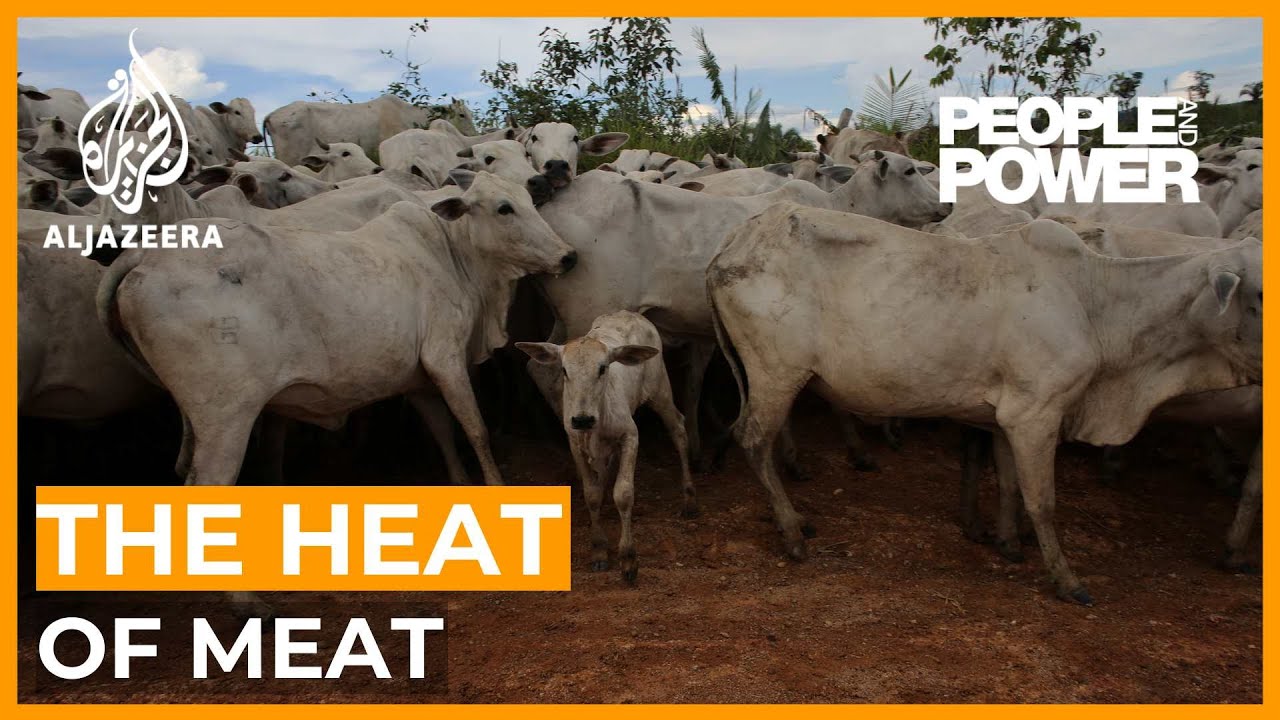 Brazil’s Beef Industry and Global Warming