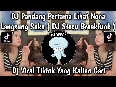 DJ PANDANG PERTAMA LIHAT NONA LANGSUNG SUKA || DJ STECU STECU BREAKFUNK SLOW VIRAL TIKTOK TERBARU