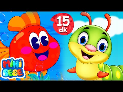 Kırmızı Balık ve En Sevilen Bebek Şarkıları Bir Arada 🐠 MiniBebe