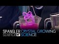 Science Fair and Crystal Experiments