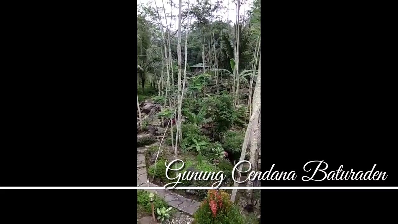 Semedi di Gunung Cendana Baturaden Banyumas