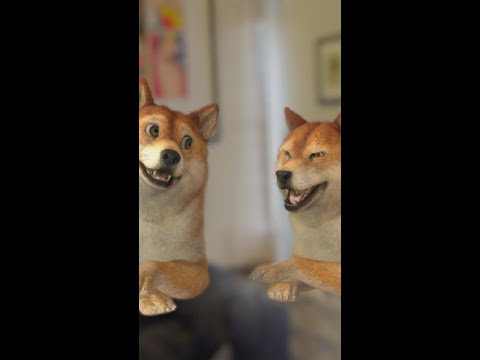 dogberg discute com sua namorada