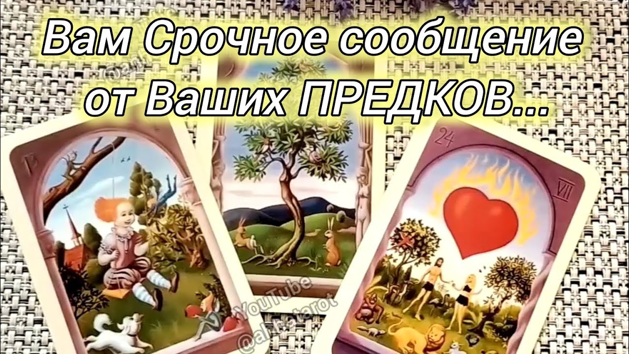 #2 Вам срочное сообщение от ваших предков. Гадание таро 06.05
