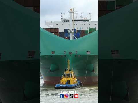 Enorme navio movido a GNL atraca no Brasil