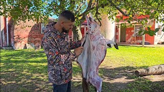 CAMINANDO POR LOS MONTES CORRENTINOS🐗🐗, caza y cocina, fauna